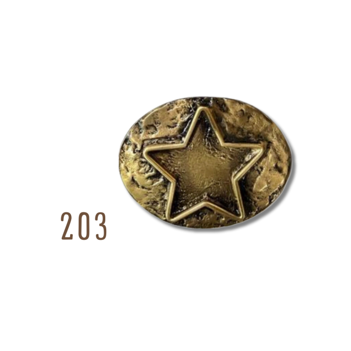 Hebilla Estrella Dorada 203