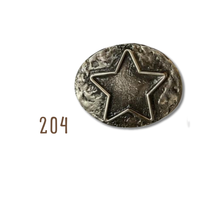 Hebilla Estrella Plata 204